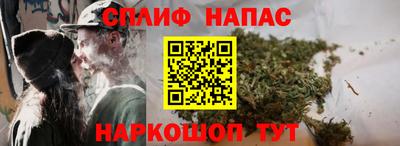 тгк Шелехов